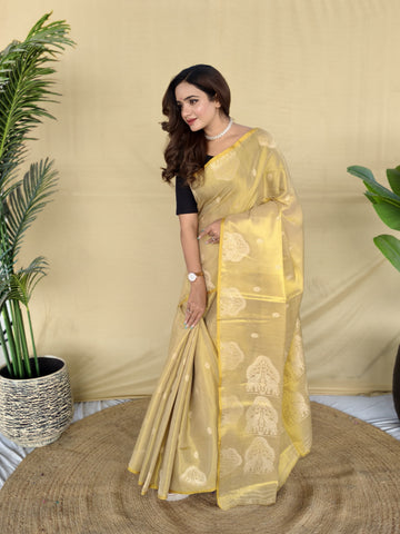 Zarang - Champagne Beige Gold Banarasi Tissue Silk Saree | Banarasii