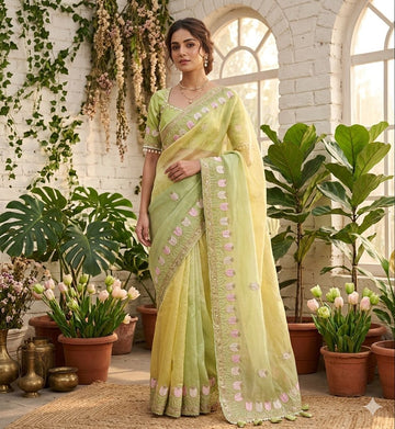 Nargis - Pista Mist Fendi Satin Silk Saree | Banarasii
